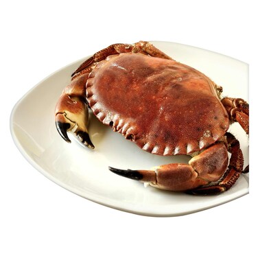 Brown Crab