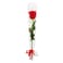 Red Rose With Sleeves