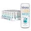250ML X30