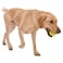 West Paw Jive Small Dog Chew Toy, Green