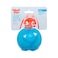 West Paw Jive Large Dog Chew Toy, Aqua