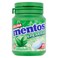 Mentos Bottle Spearmint Gum Tub 56g