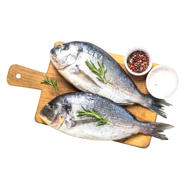 سمك دنيس تبوك 200 ~ 300 جرام