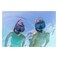 Bestway Dominator Snorkel Mask - 26-24070-BLUE