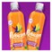 Rubicon Spring Pineapple Passion Drink 500ML
