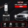 880 Halogen Headlight Bulb &ndash; 12V 27W, Enhanced Visibility, Long Lifespan