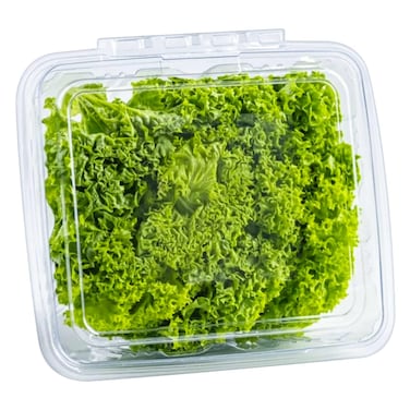 Amodi Lettuce Lolo Biondo