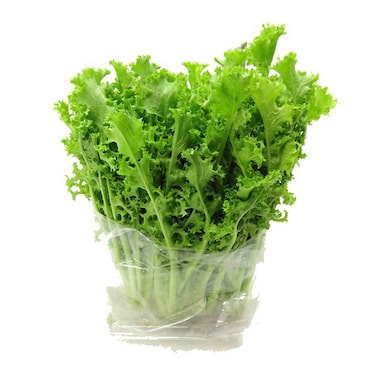 عامودي كرنب أجعد