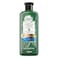 Herbal Essences Sulfate Free Potent Aloe Vera with Bamboo Natural Shampoo For Dry Hair, 400 ml