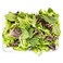 Mesclun Small Leaf Salad Mix Of 5 Leaves 125g