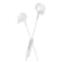 Philips Wired In-Ear Headphones, White &ndash; TAE5008WT