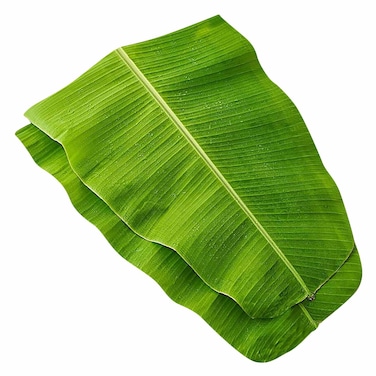 Banana Leaf Pack 1kg