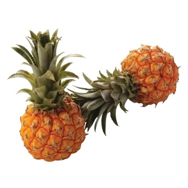 أناناس صغيرة