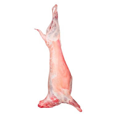 خروف روماني كامل