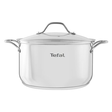 Tefal Stainless Steel Induction Cooking Pot &ndash; 26 cm
