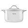 Tefal Stainless Steel Induction Cooking Pot &ndash; 26 cm