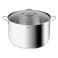 Tefal - Stainless Steel Induction Pot 36cm