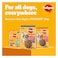 Pedigree Dog Food, Adult Mini, Beef, Lamb &amp; Vegetables Flavour, 1.5Kg