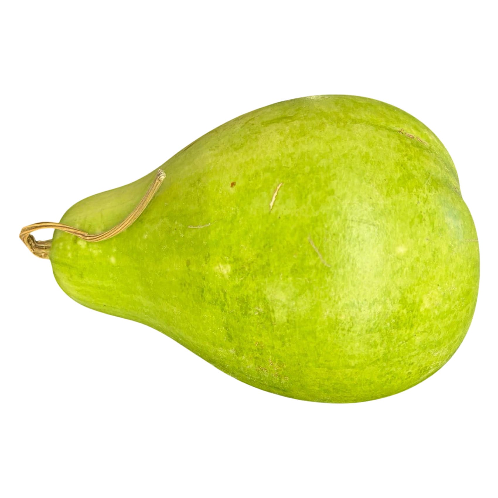 يقطين أخضر طازج