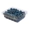 Sekoya Beauty Blueberry &ndash; 150 g