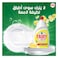 Fairy Plus Lemon Dishwashing Liquid With Alternative Power To Bleach, 900 ml