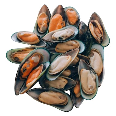 الشركة العربية للأسماك بلح البحر نصف المقشور المجمد 500 جرام