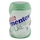 Mentos Gum Pure Fresh Spearmint &ndash; 17.5 g