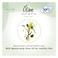 Sofy Pantyliner Olive Regular X120