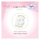 Sofy Pantyliner Clean &amp; Pure Scented Large X114