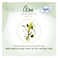 Sofy pantyliner Olive (Long 190mm) X36