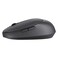 VOLKANO CRATER SERIES WL MOUSE