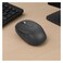 VOLKANO CRATER SERIES WL MOUSE