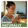 Lipton Matcha Green Tea Bags &ndash; 20 Bags &times; 1.5 g