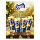 Original Mango Chunks Fruit Drink &ndash; 240 ml Can &ndash; With Real Fruit Pieces &ndash; No Preservatives &ndash; No Artificial Colors