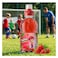 Captain Sport Strawberry Flavored Drink &ndash; 250 ml Bottle
