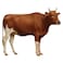 Odhia Local Cow Carcass Weight (Approx 270 TO 300 KG) - Eid Pre-Order