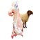 Odhia Naimi Lamb Female Carcass Weight (Approx 20 TO 23 KG) - Eid Pre-Order