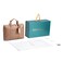 Tom Cruiser Laptop Bag, Khakee Color, (712 Model)