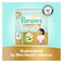 Pampers Premium Care Tape Diapers &ndash; Size 4 &ndash; 100 Pieces &ndash; Mega Box