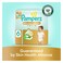 Pampers Premium Care Tape Diapers &ndash; Size 6 &ndash; 60 Pieces &ndash; Mega Box