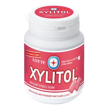 Lotte Xylitol Strawberry Mint Sugar Free Gum 58g