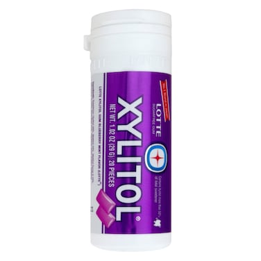Lotte Xylitol Blueberry Mint Sugar Free Gum 29g