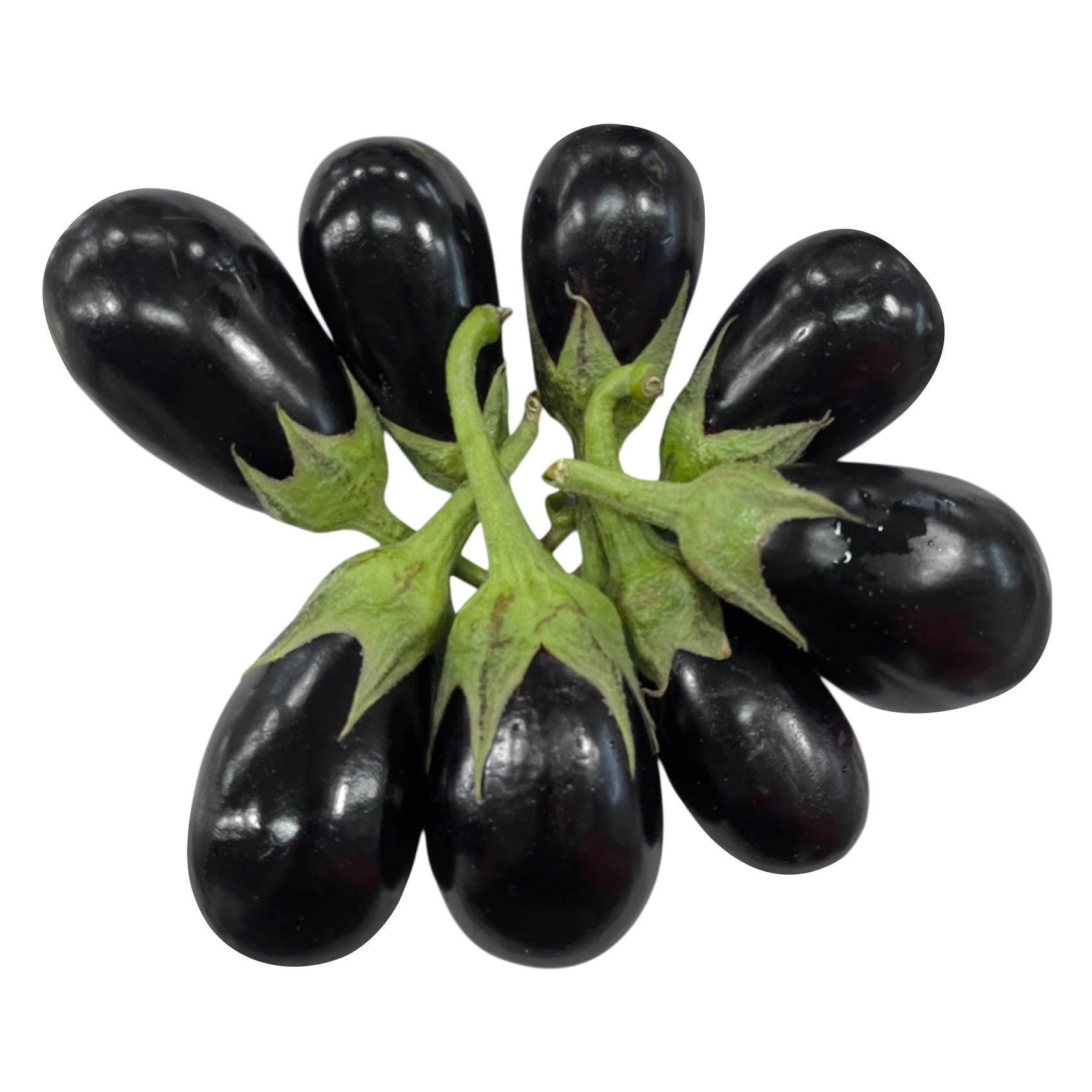 باذنجان صغير – بالكيلو