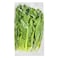 Romaine Lettuce &ndash; Per kg