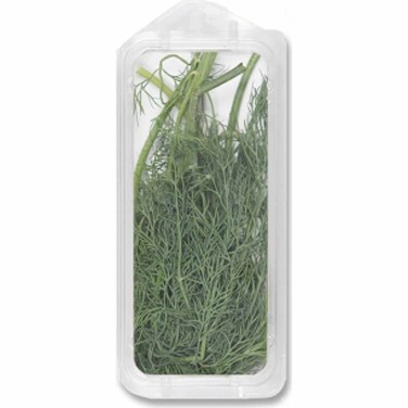 أعشاب طازجة