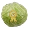 White Cabbage &ndash; Per kg