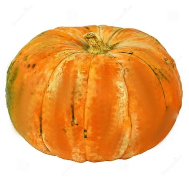 Indian Butter Pumpkin