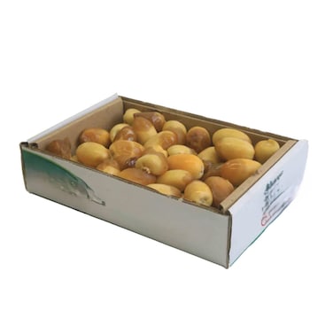 تمر رطب روتانا طازج