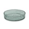 Tarhong Paw Fish Bone Pet Bowl Small, Green