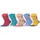Biggdesign 5 Pairs Cats Design Women Socket Socks